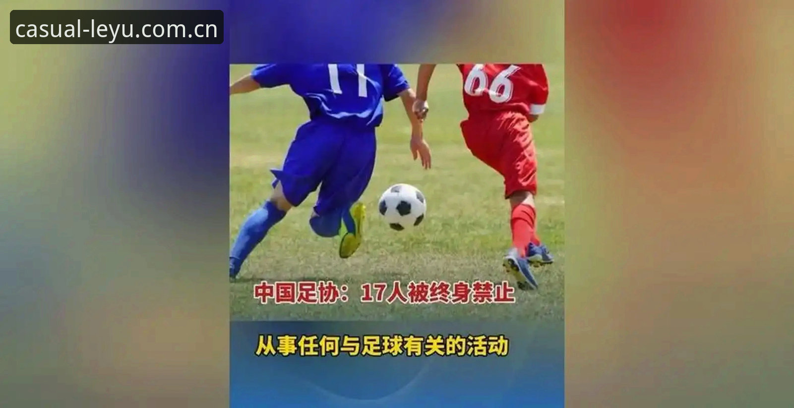 乐鱼娱乐app安全吗官方下载 17人终身禁足与48人五年禁赛全面对比:足协第三批名单背后的治理逻辑